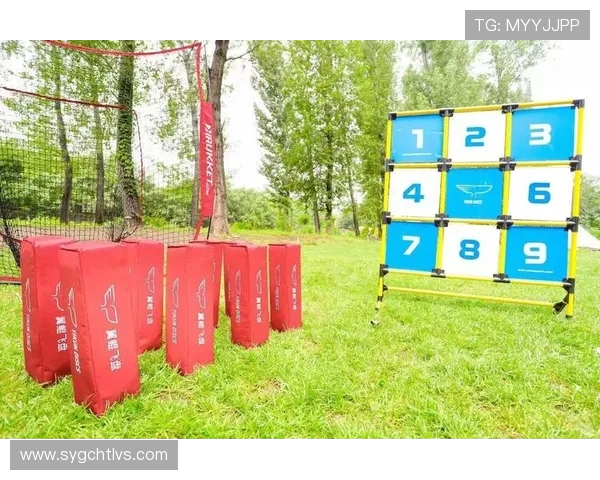 南京飞盘队与武汉飞盘队赛后复盘战术分析及关键表现总结